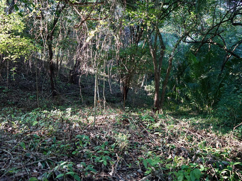Land at Nosara