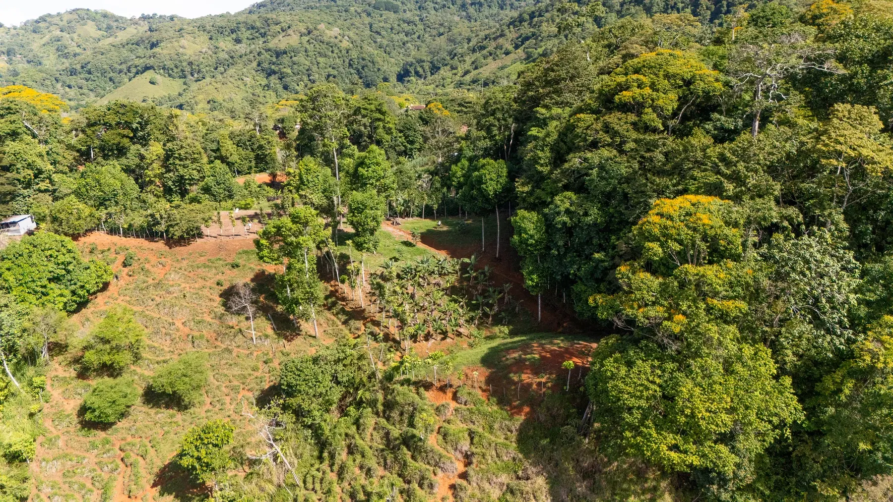 Terreno en San Isidro del General