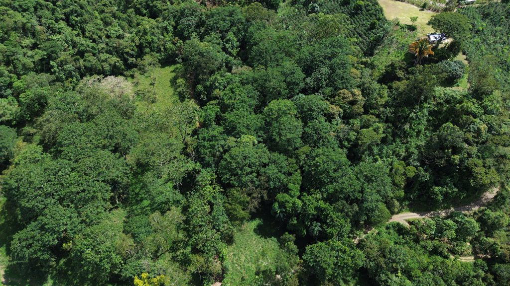 Land at Rivas