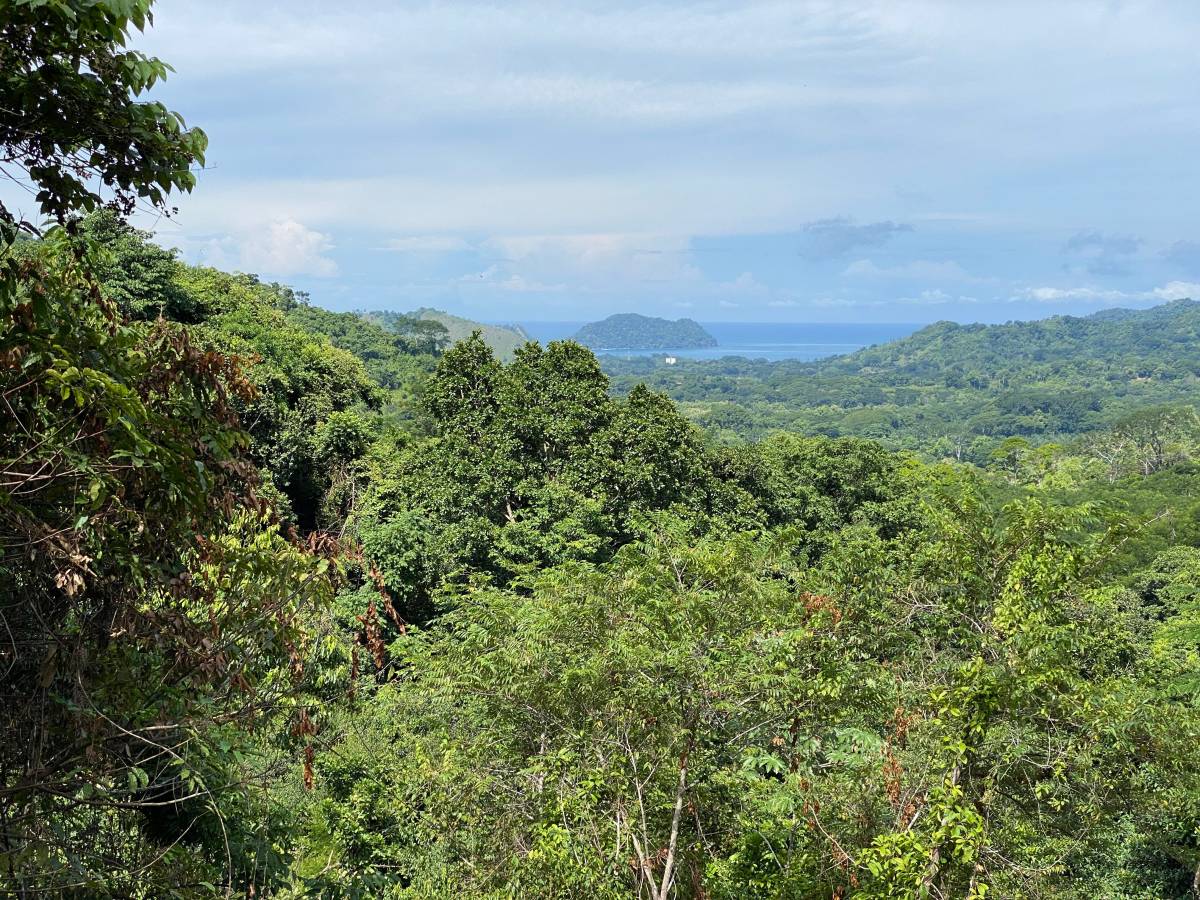 Finca en Herradura