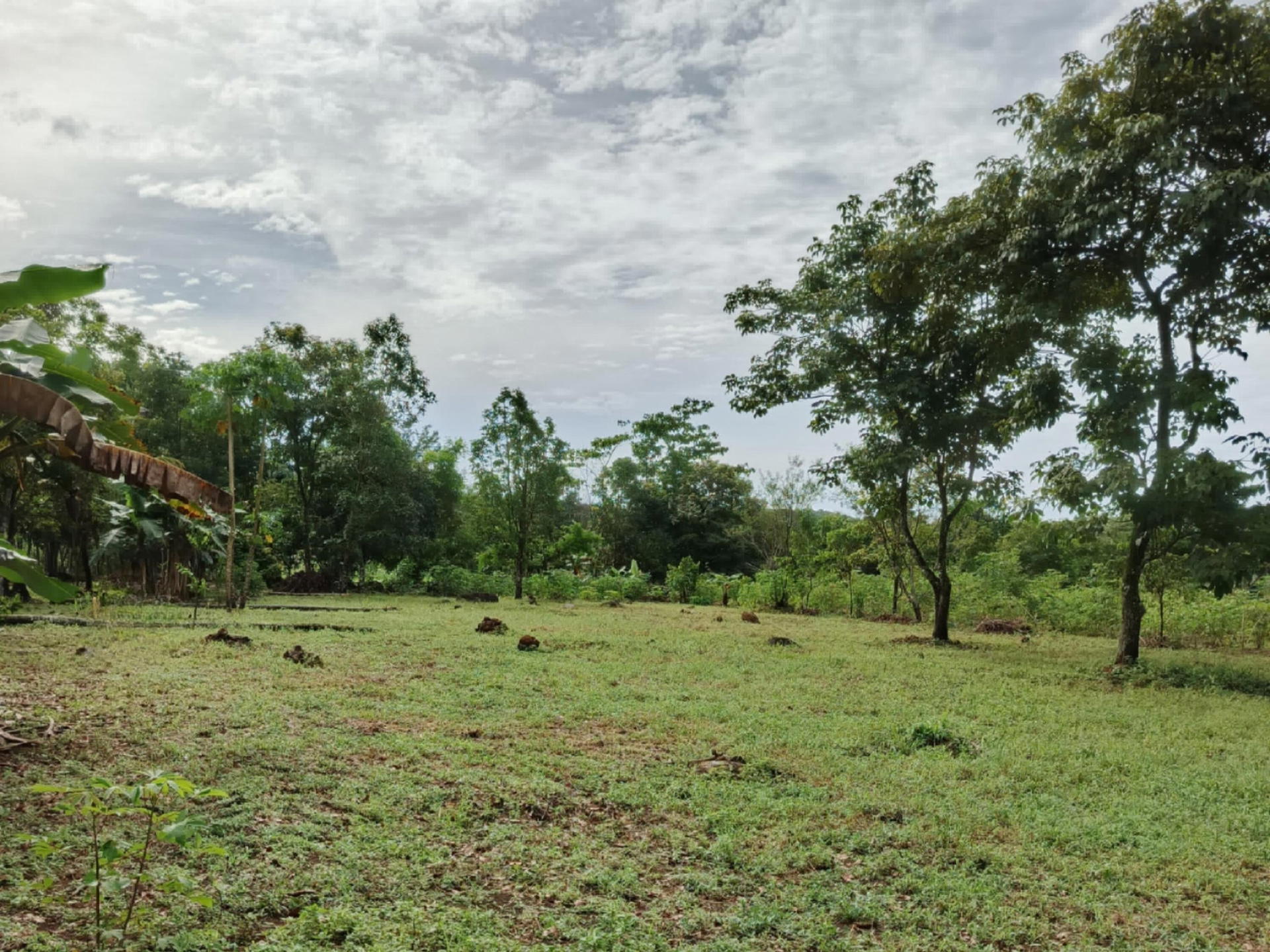 Property at Volcán