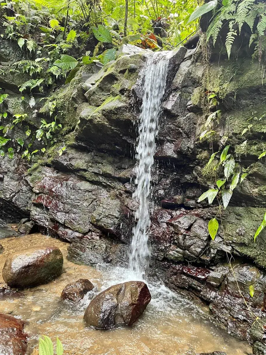 Terreno en Bahía Ballena
