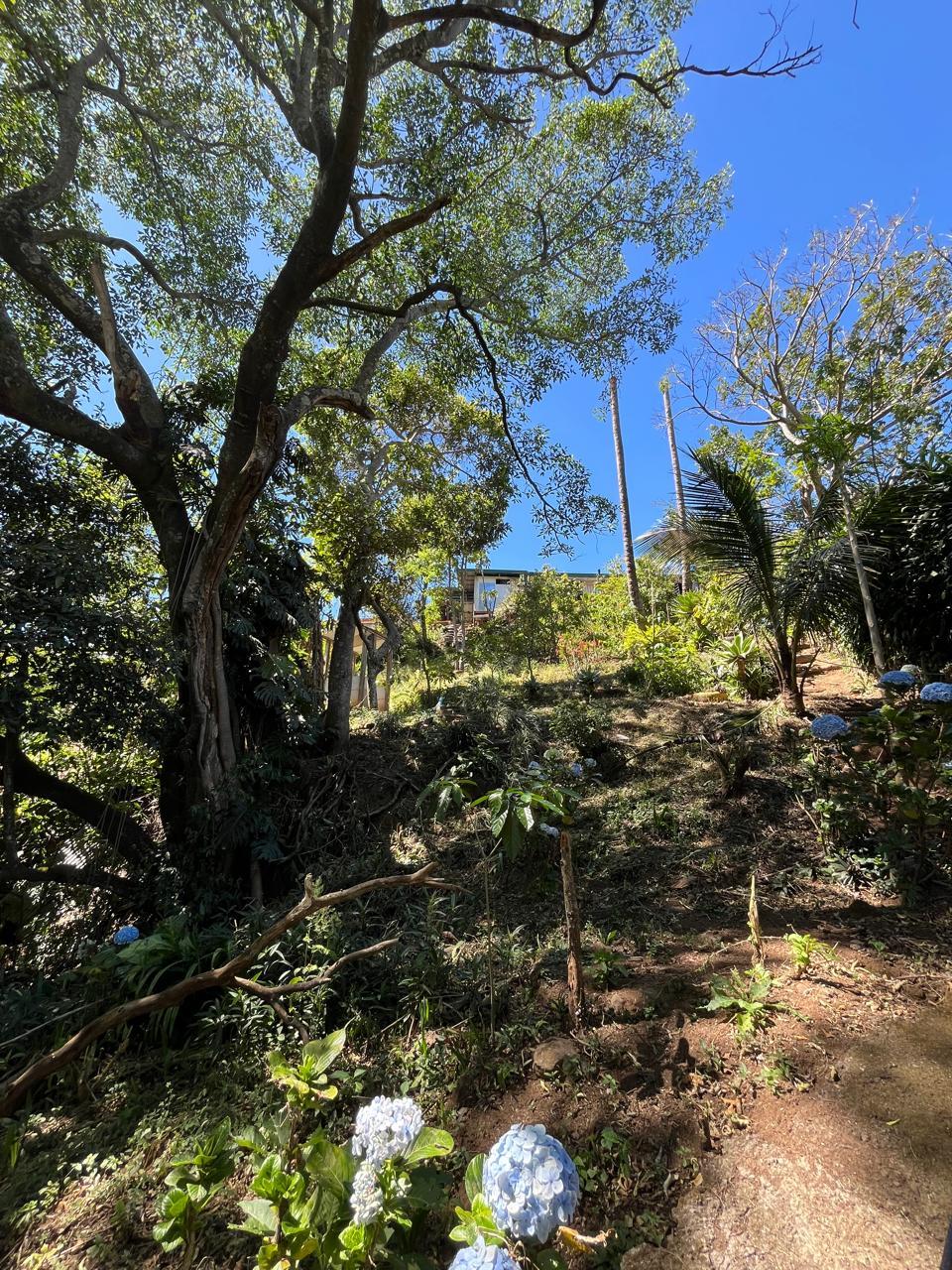 Casa en San Isidro