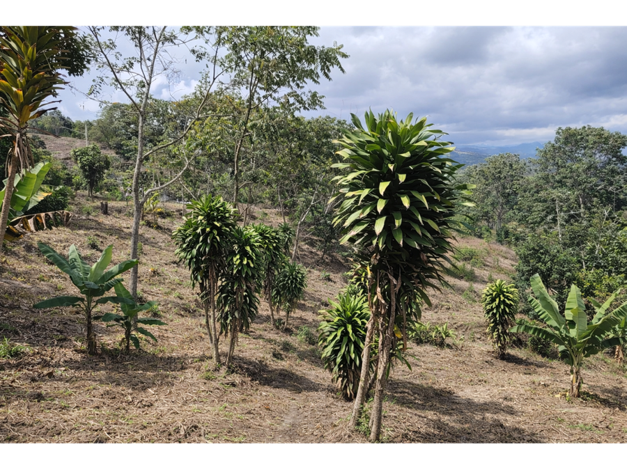 Terreno en San Isidro de El General
