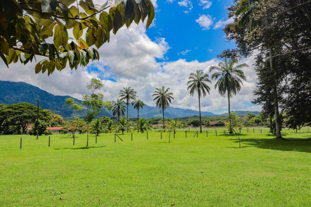 Property at Palmar