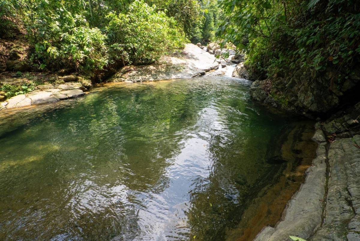 Property at Dominicalito