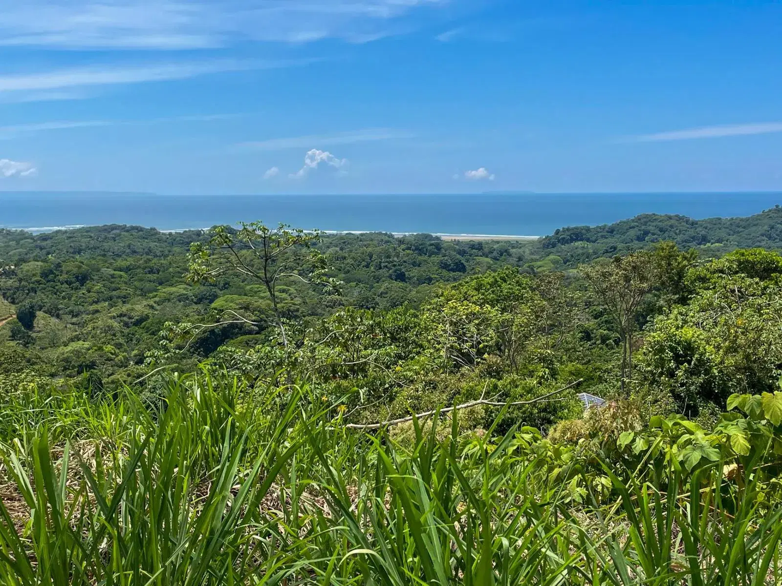Land at Puerto Cortés