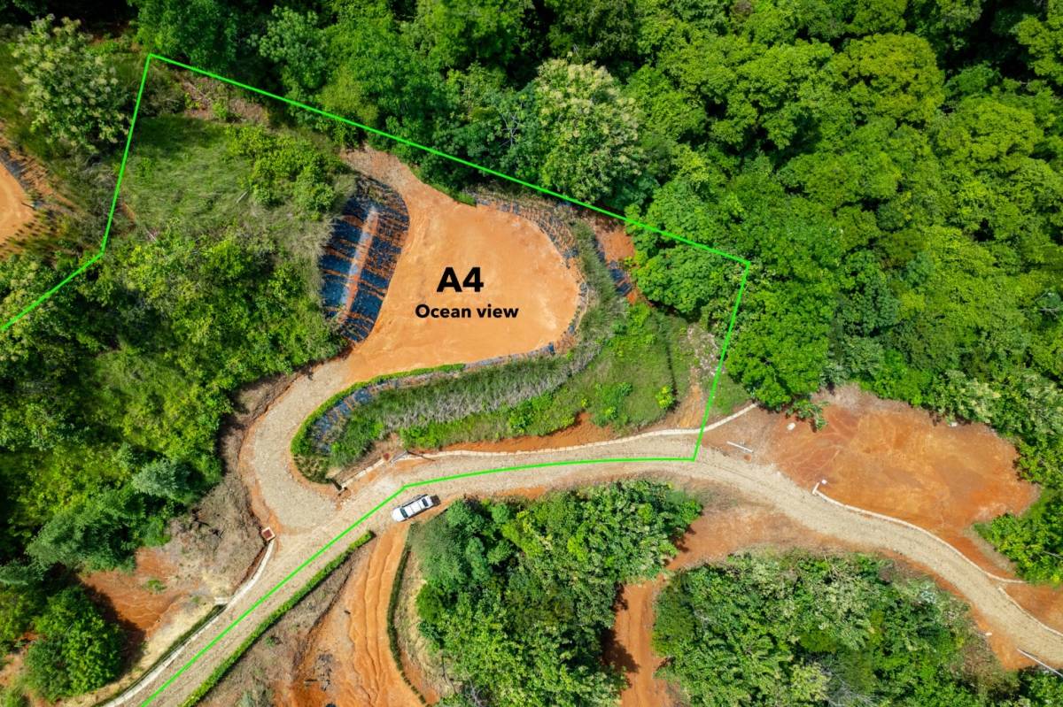 Property at Matapalo