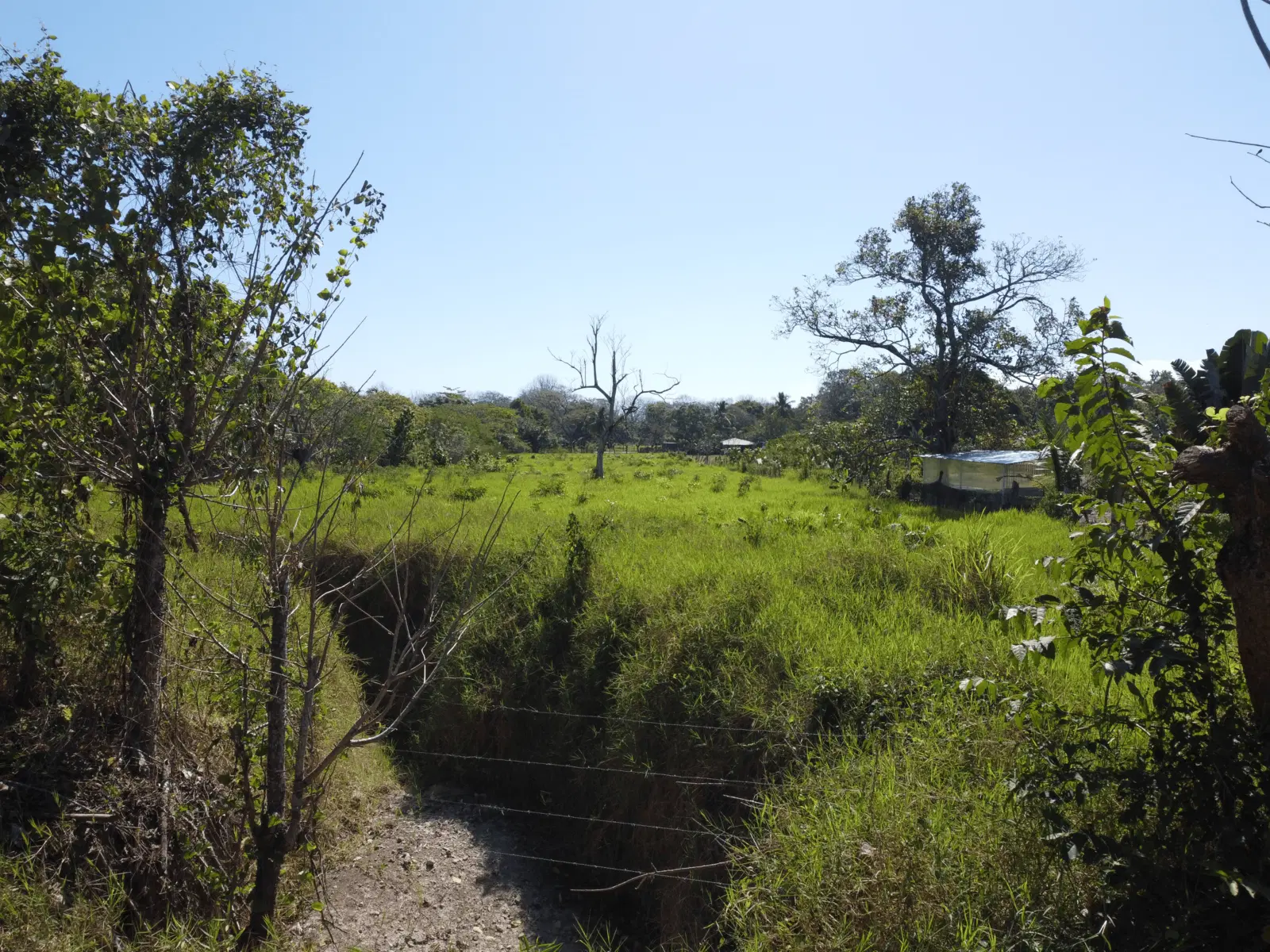 Terreno en Cóbano
