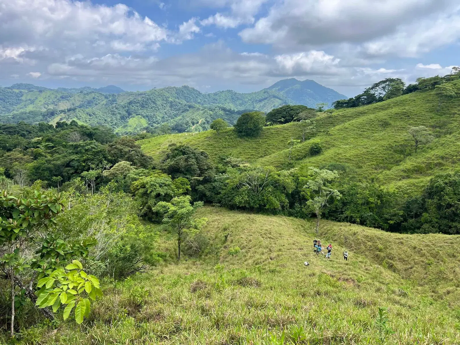 Land at Cóbano