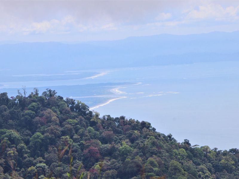 Land at Bahía Ballena