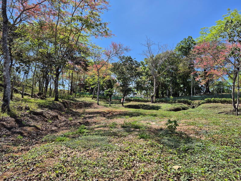 Land at Manzanillo