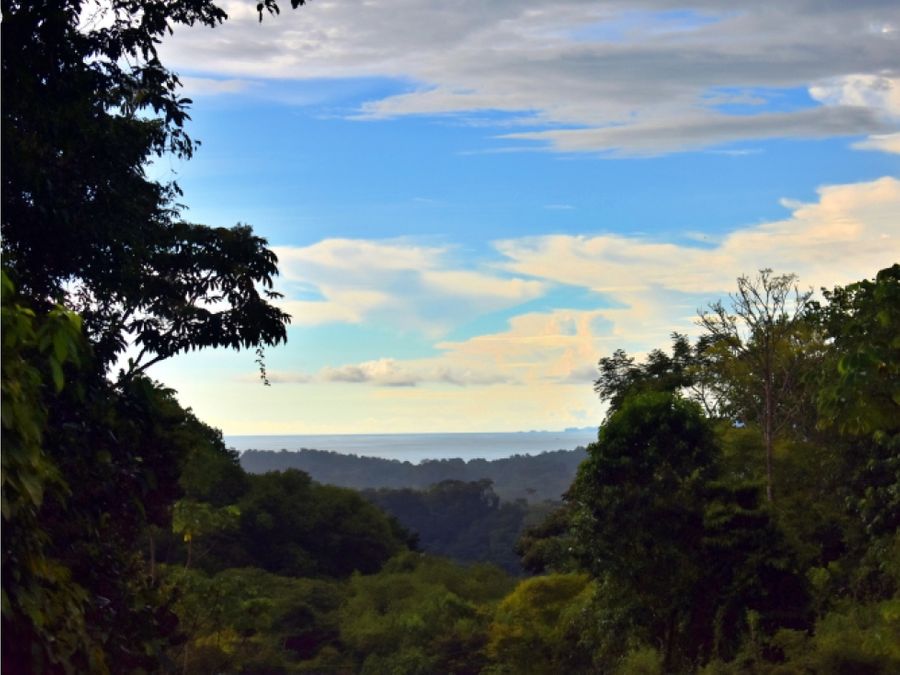 Land at Bahía Ballena