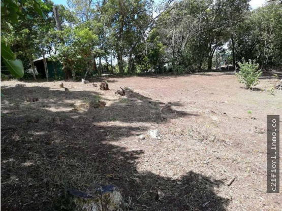 Terreno en Monteverde