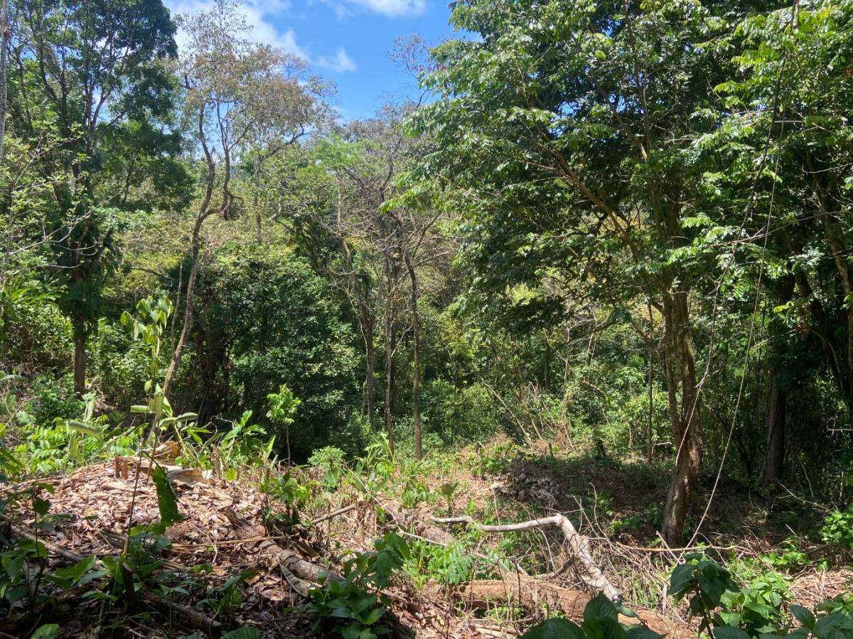 Propiedad en Manuel Antonio