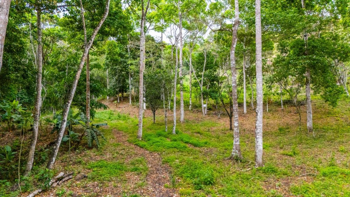 Finca en La Palma