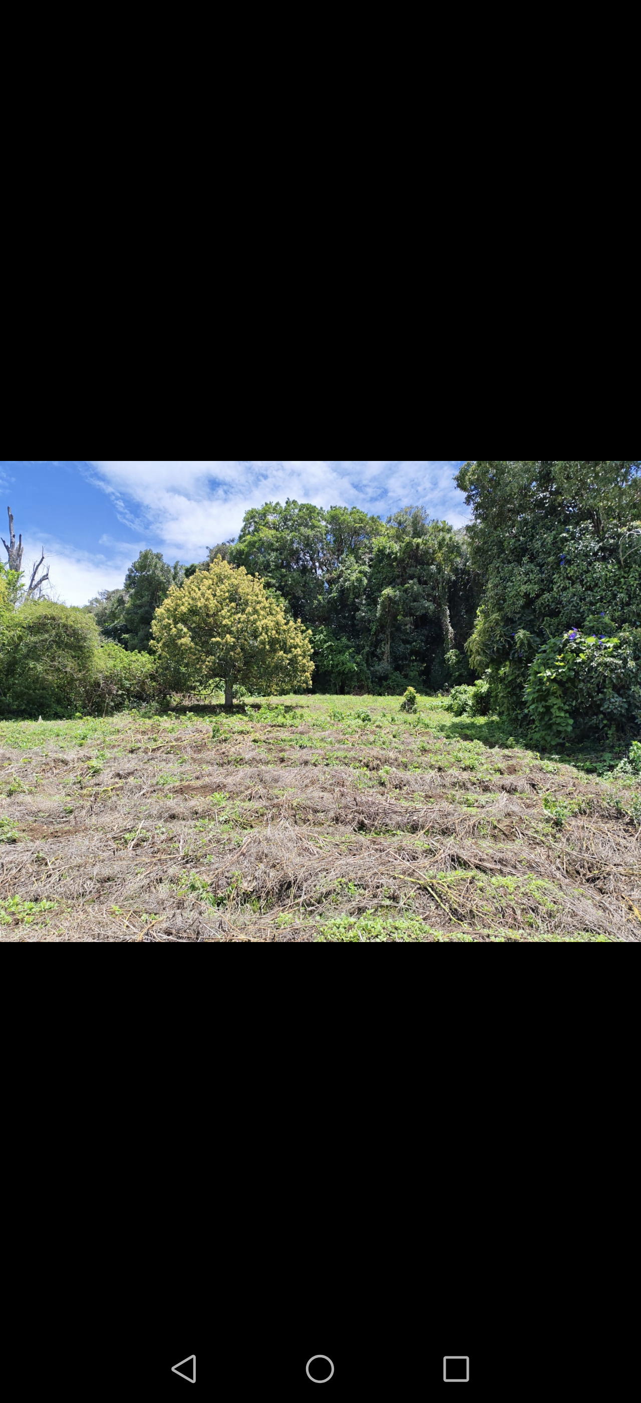 Terreno en Zarcero