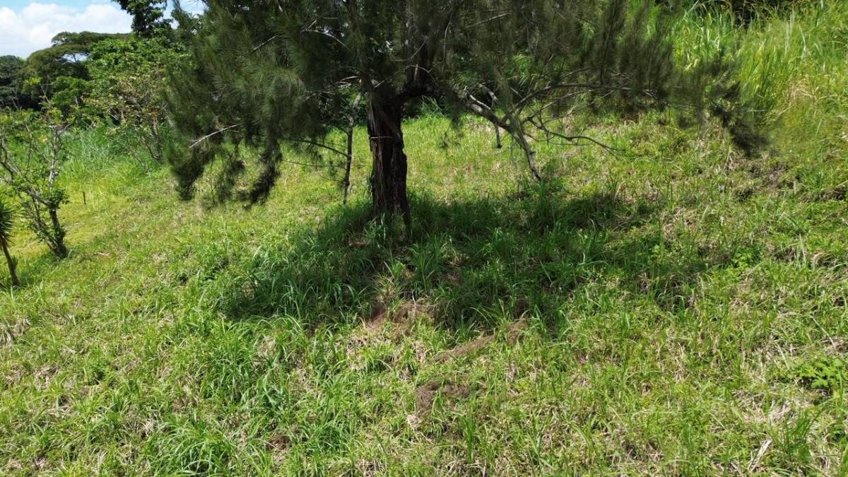 Propiedad en Condominio Pinares de Curridabat