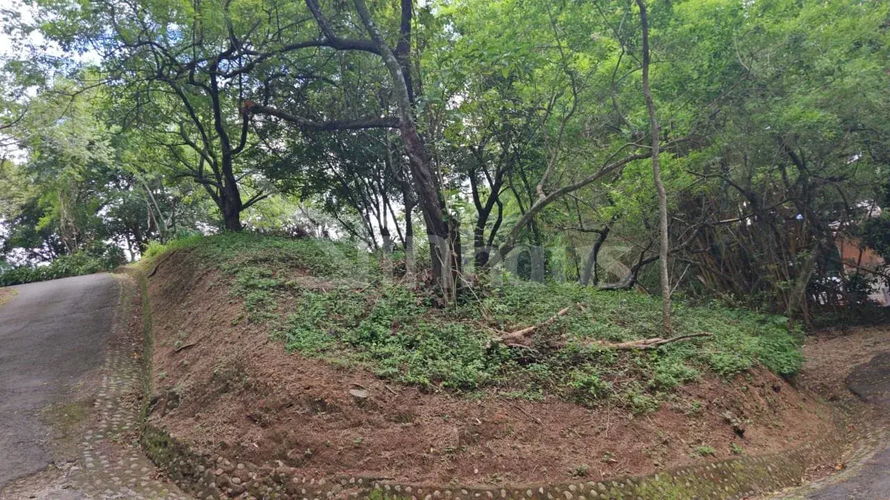 Property at Colón