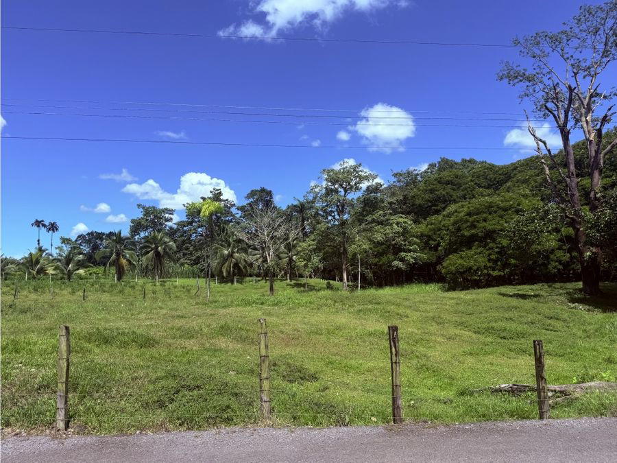 Terreno en Horquetas