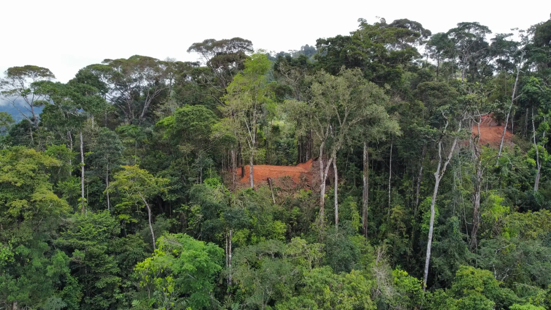 Terreno en Bahía Ballena