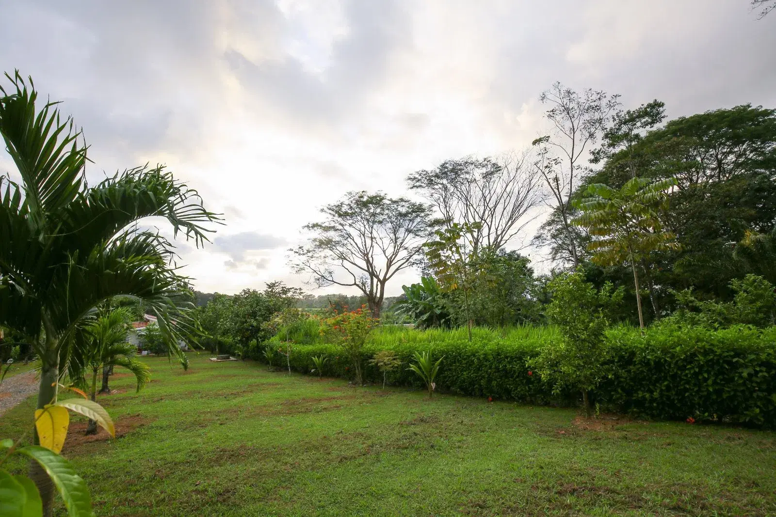 Comercial en Hatillo