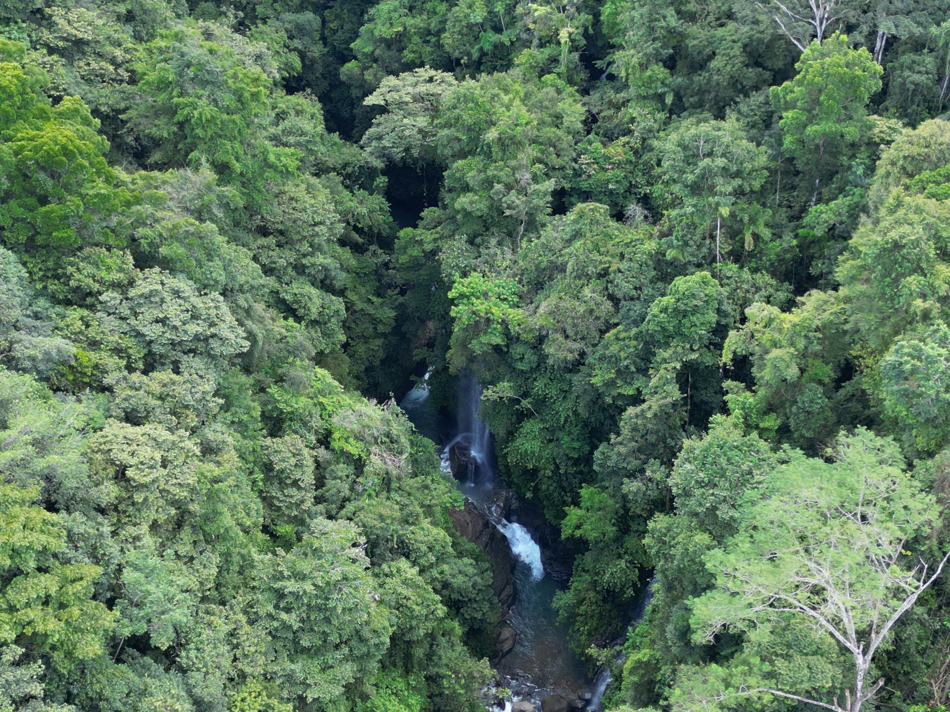 Property at Barú