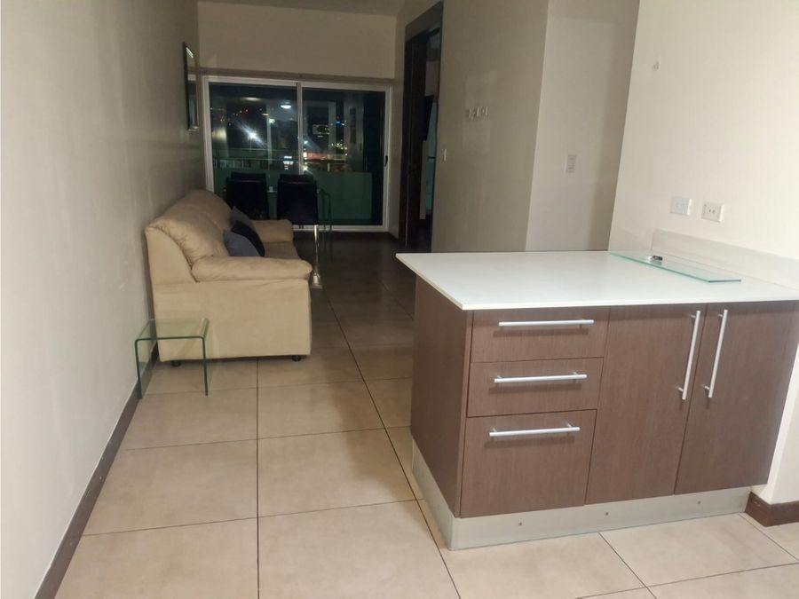 Apartment at San Pedro