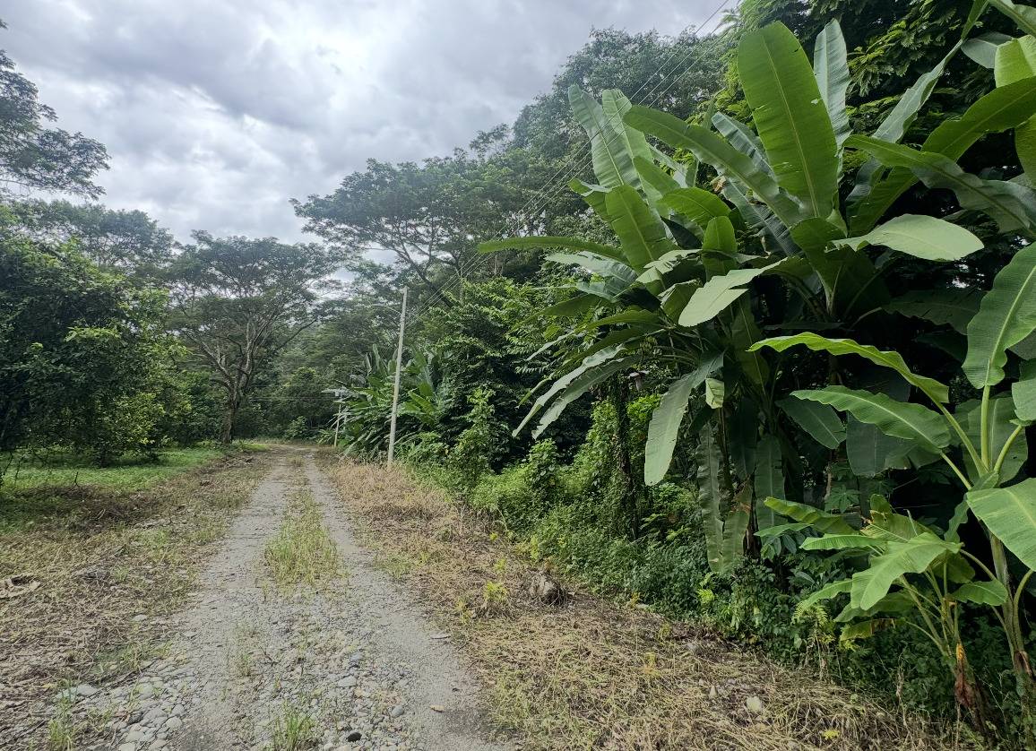 Property at Carbón 1