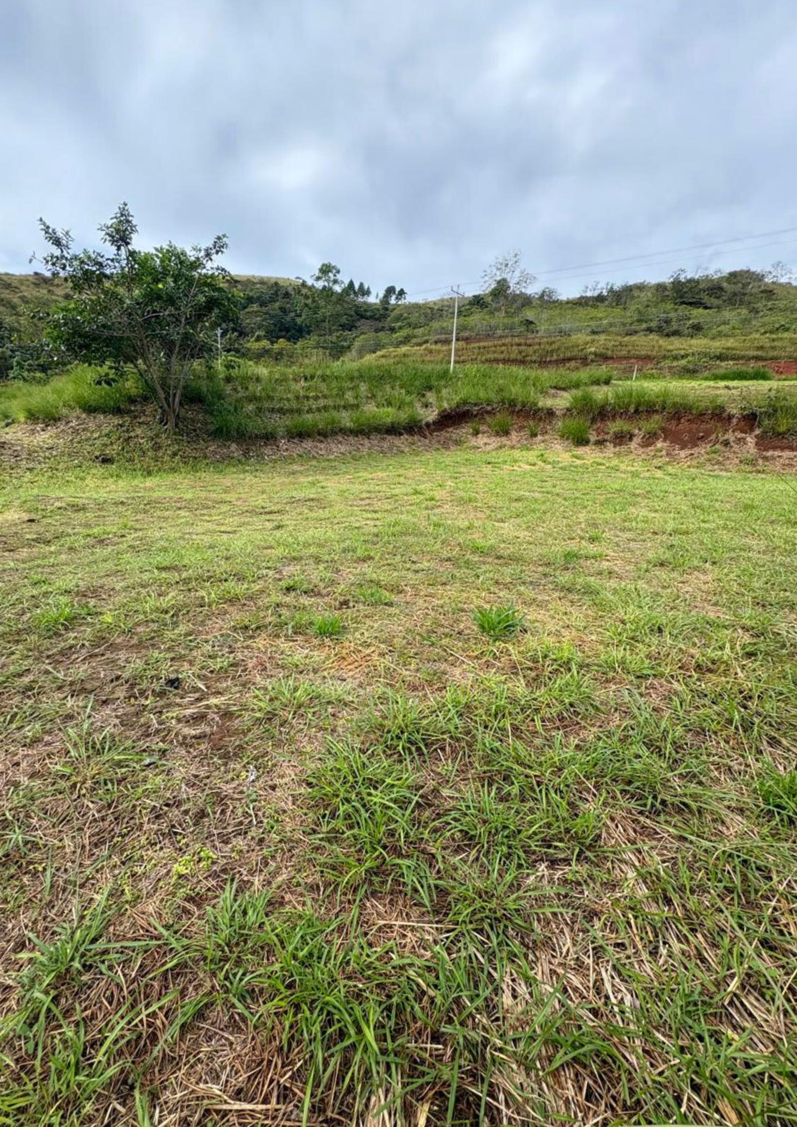 Terreno en Hacienda Natura