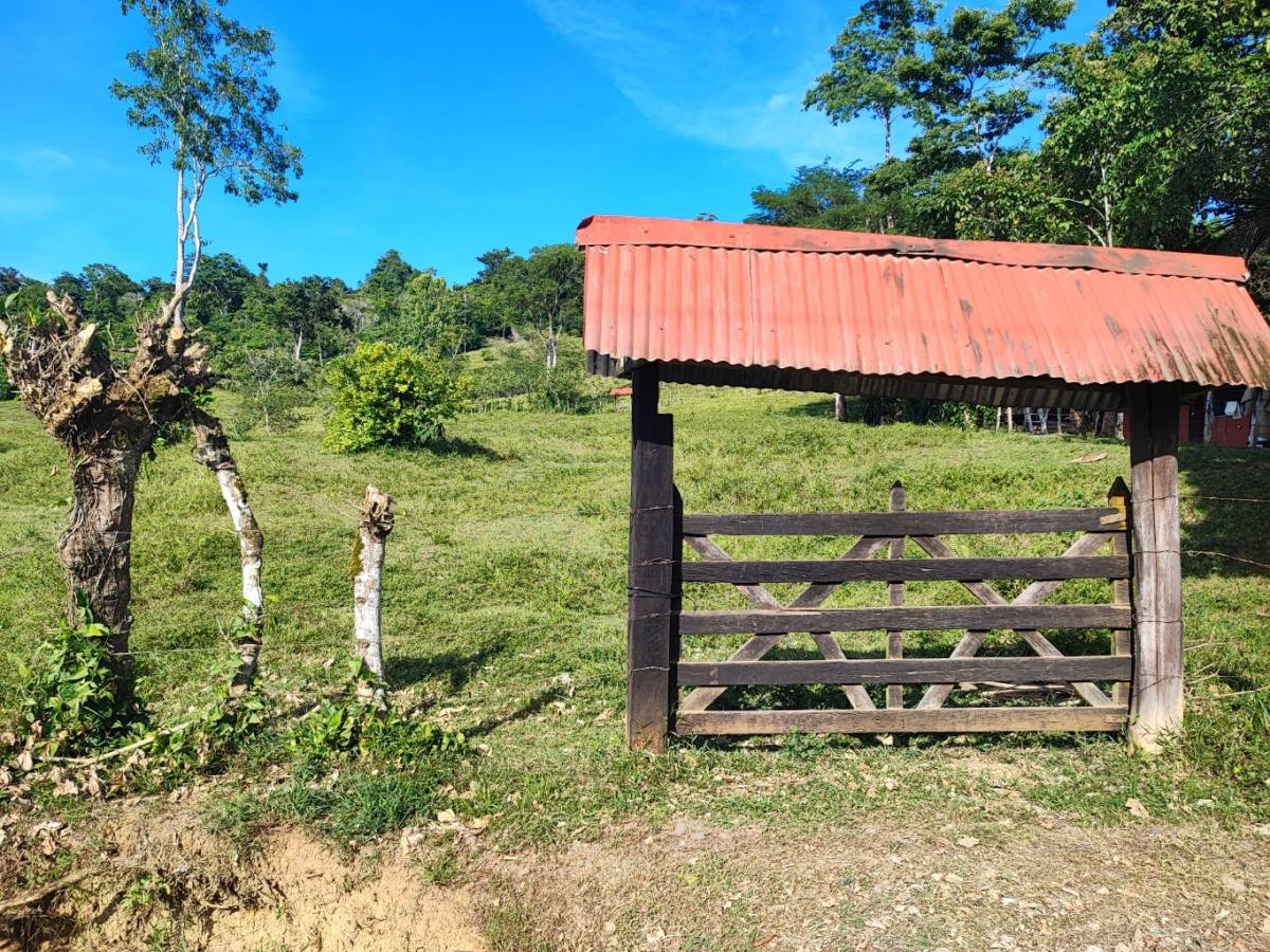 Estate at Bratsi