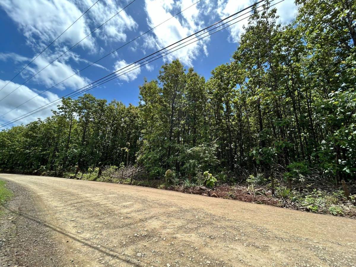 Propiedad en San José Pinilla