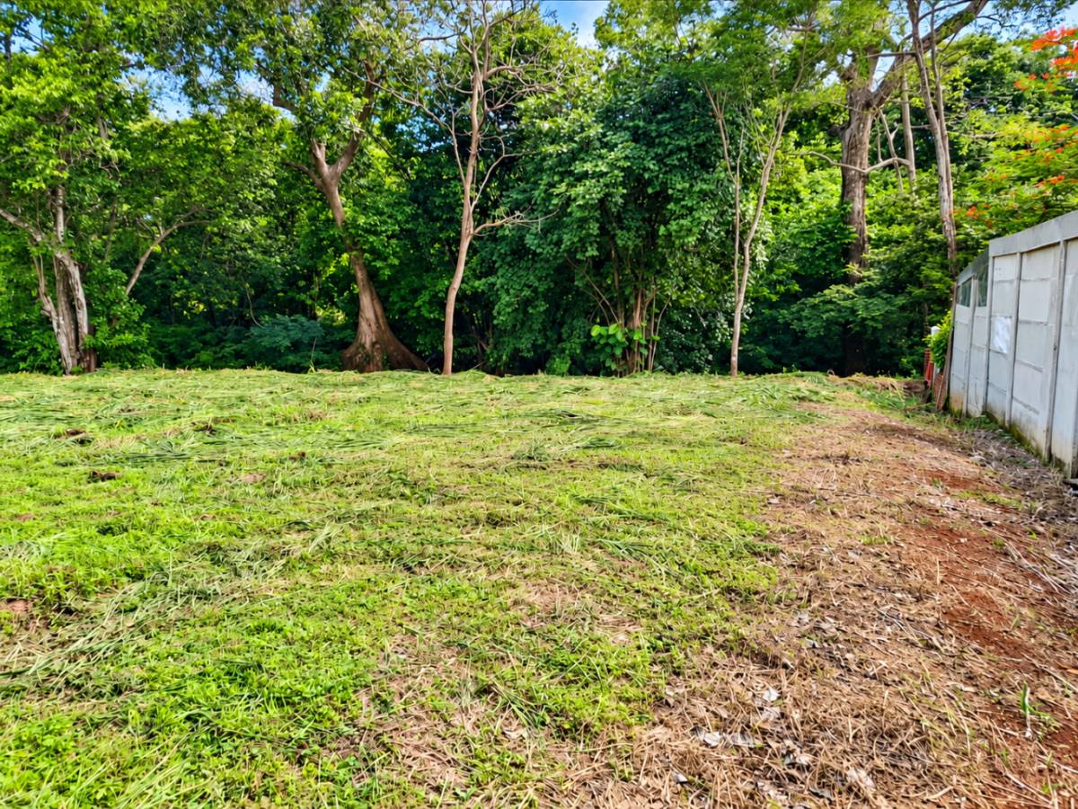 Estate at La Ceiba