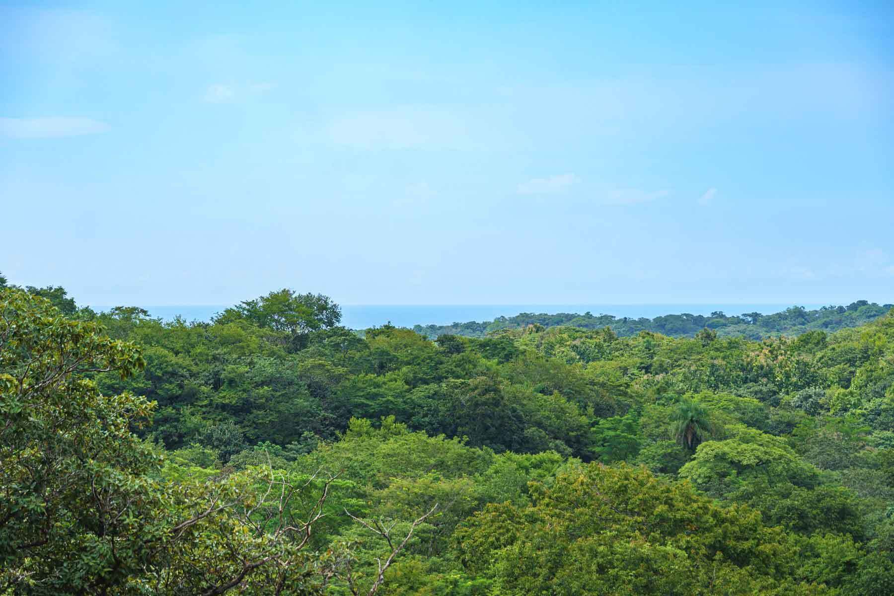 House at Tamarindo