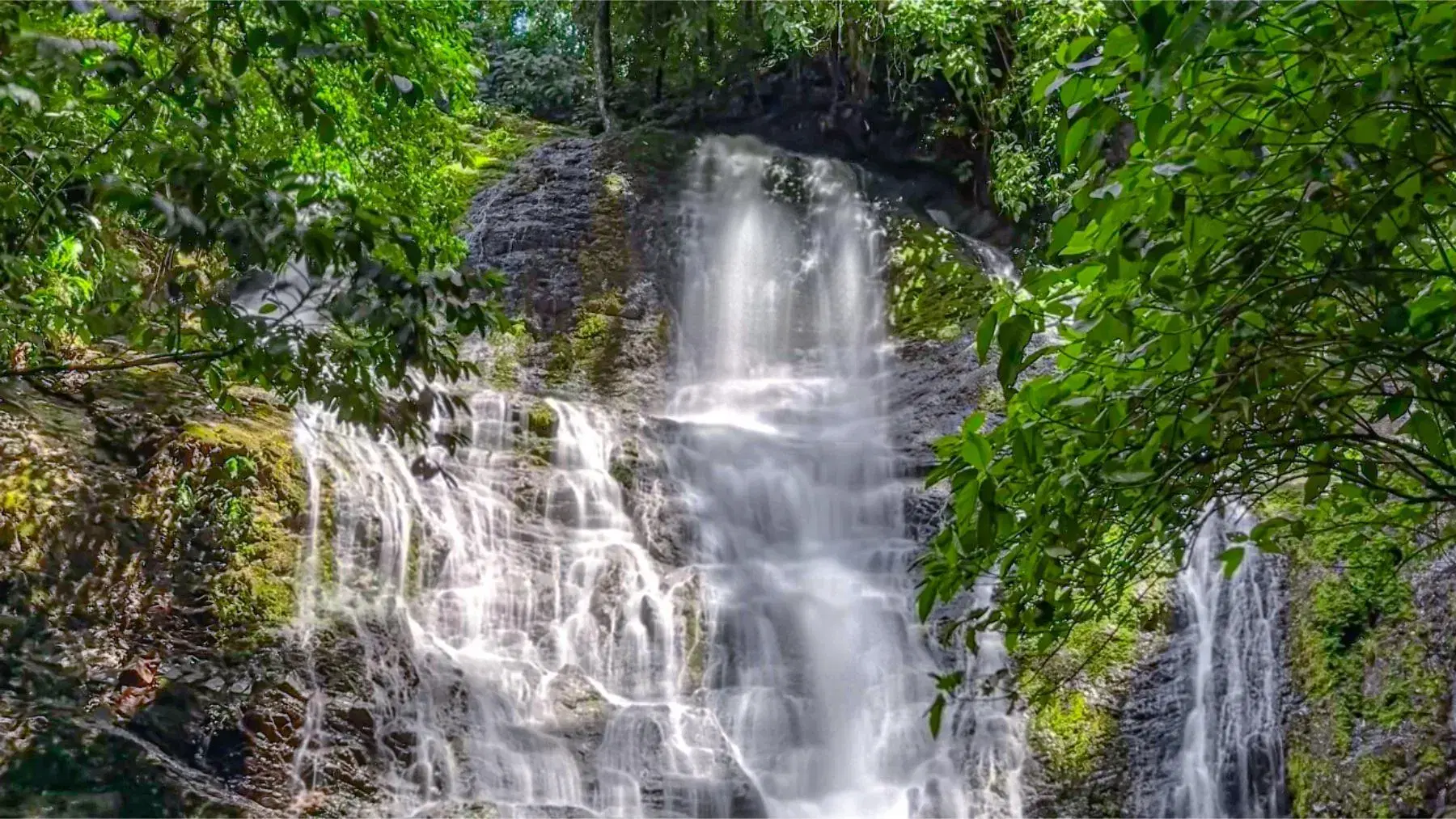 Land at Bahía Ballena
