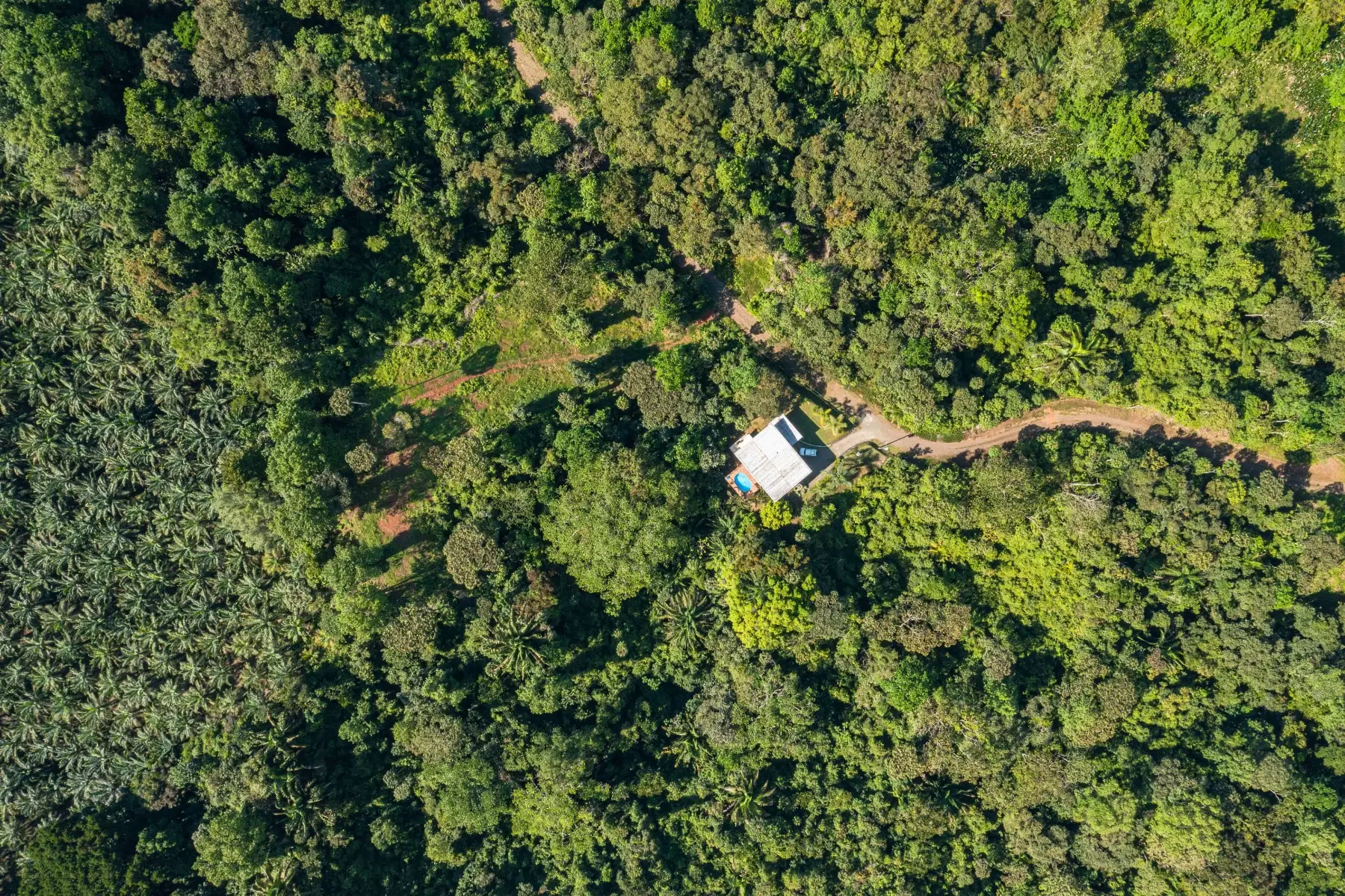 House at Quepos