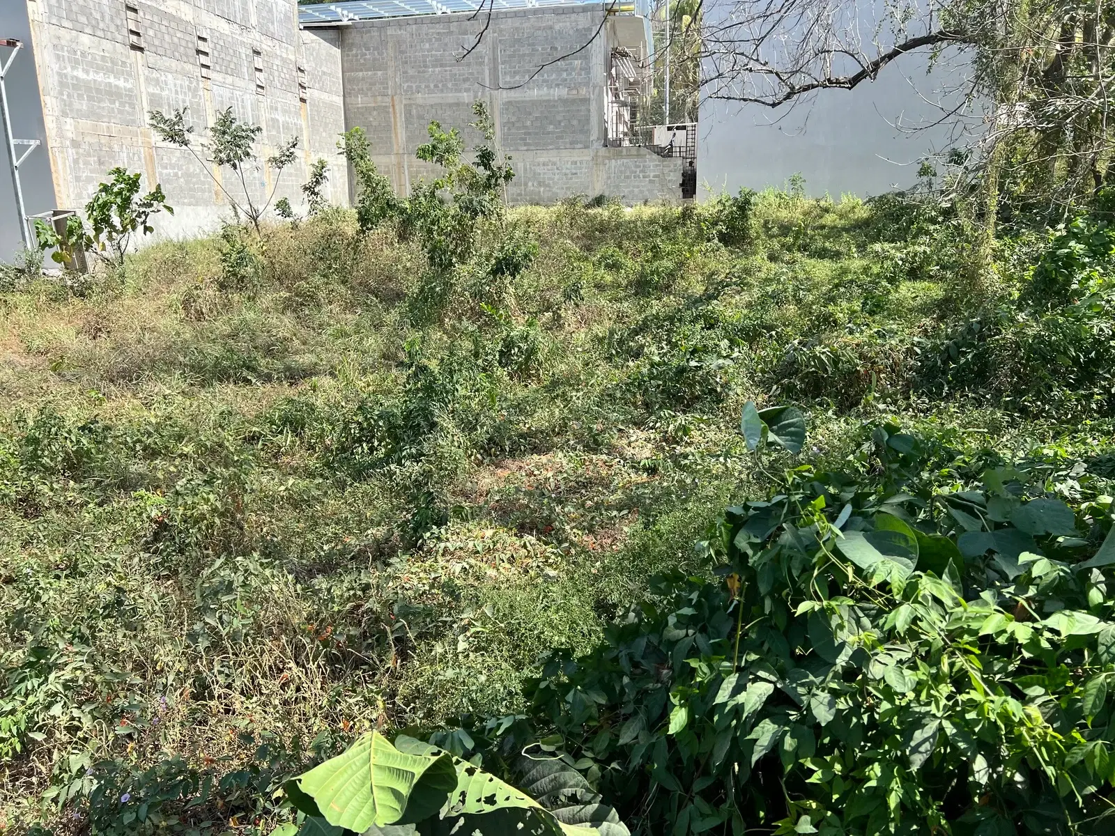 Terreno en Cóbano