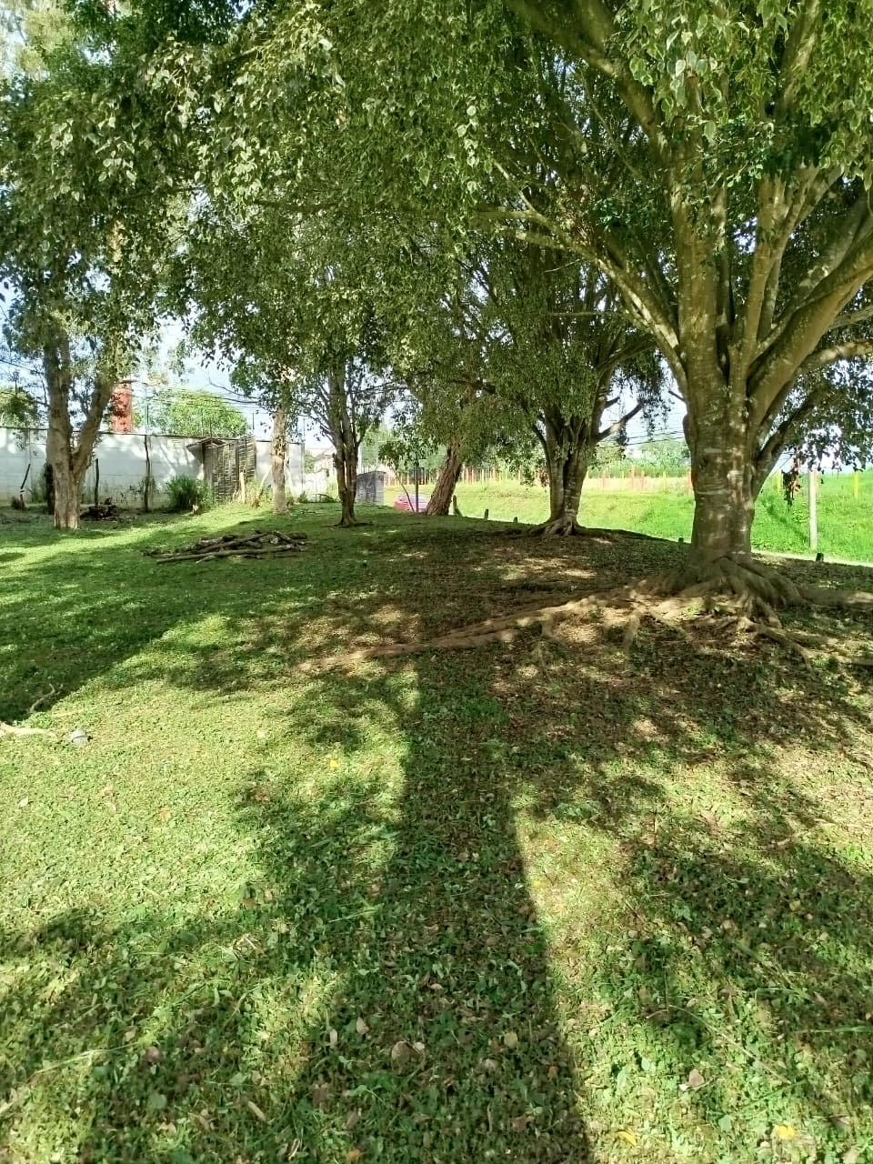 Terreno en Mata de Plátano