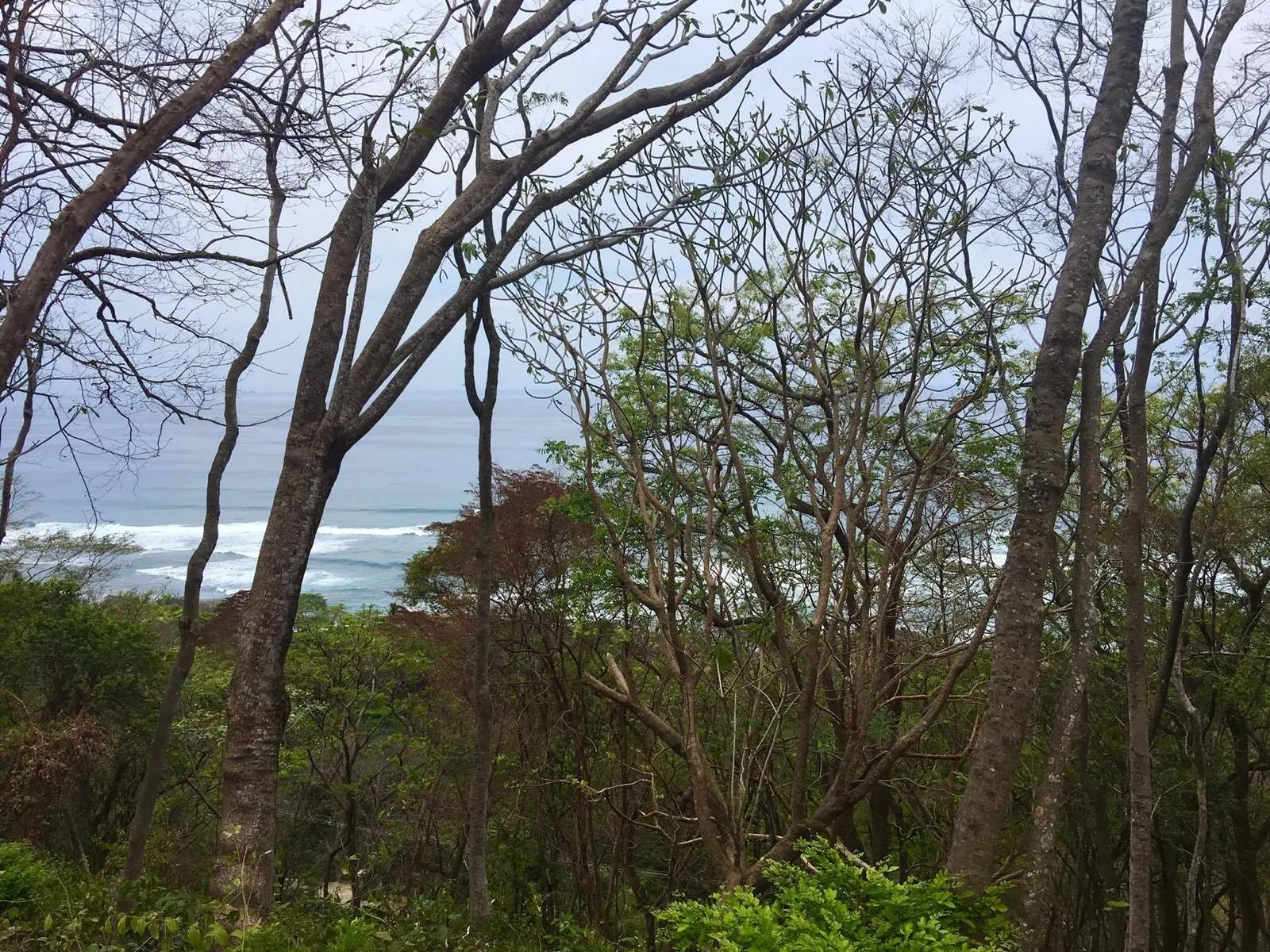 Terreno en Cóbano