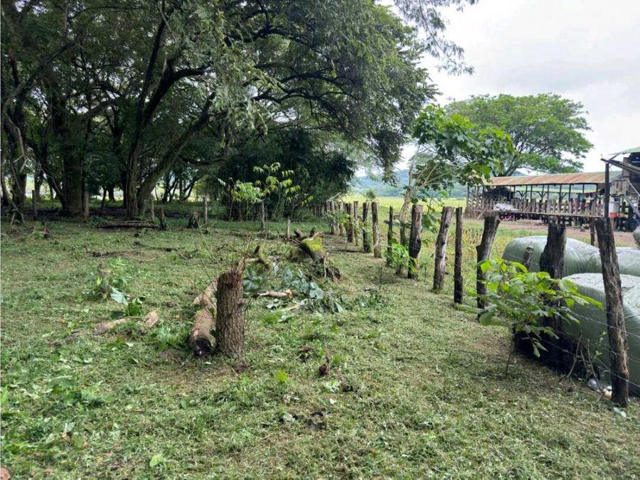 Property at Tamarindo