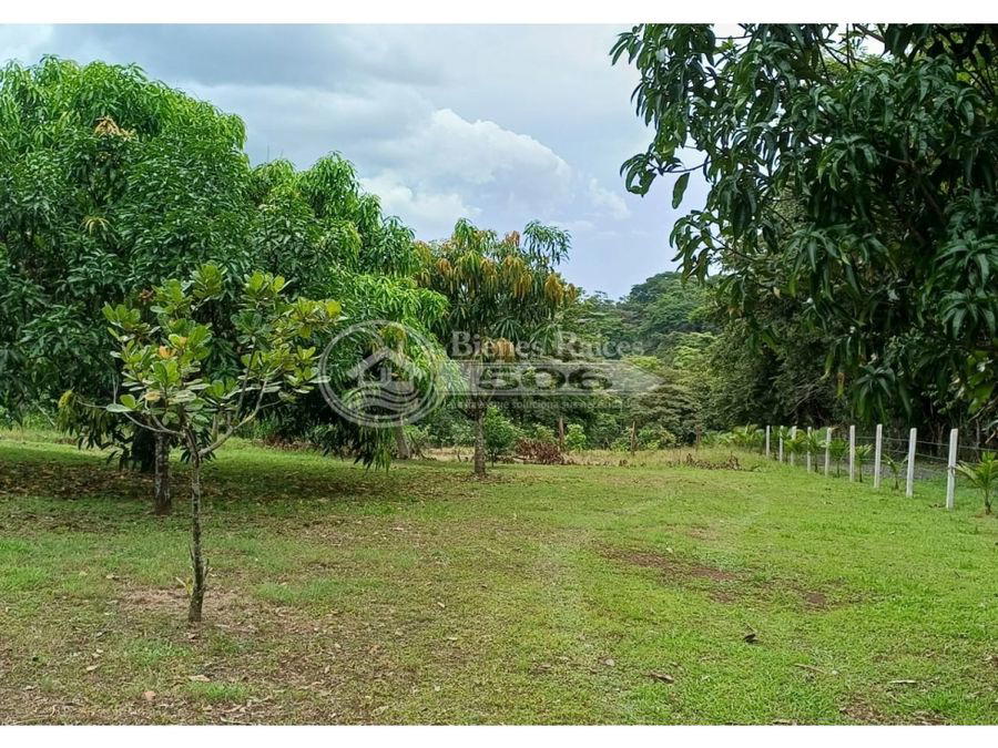 Terreno en San Juan de Mata