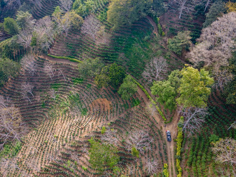 Terreno en Atenas