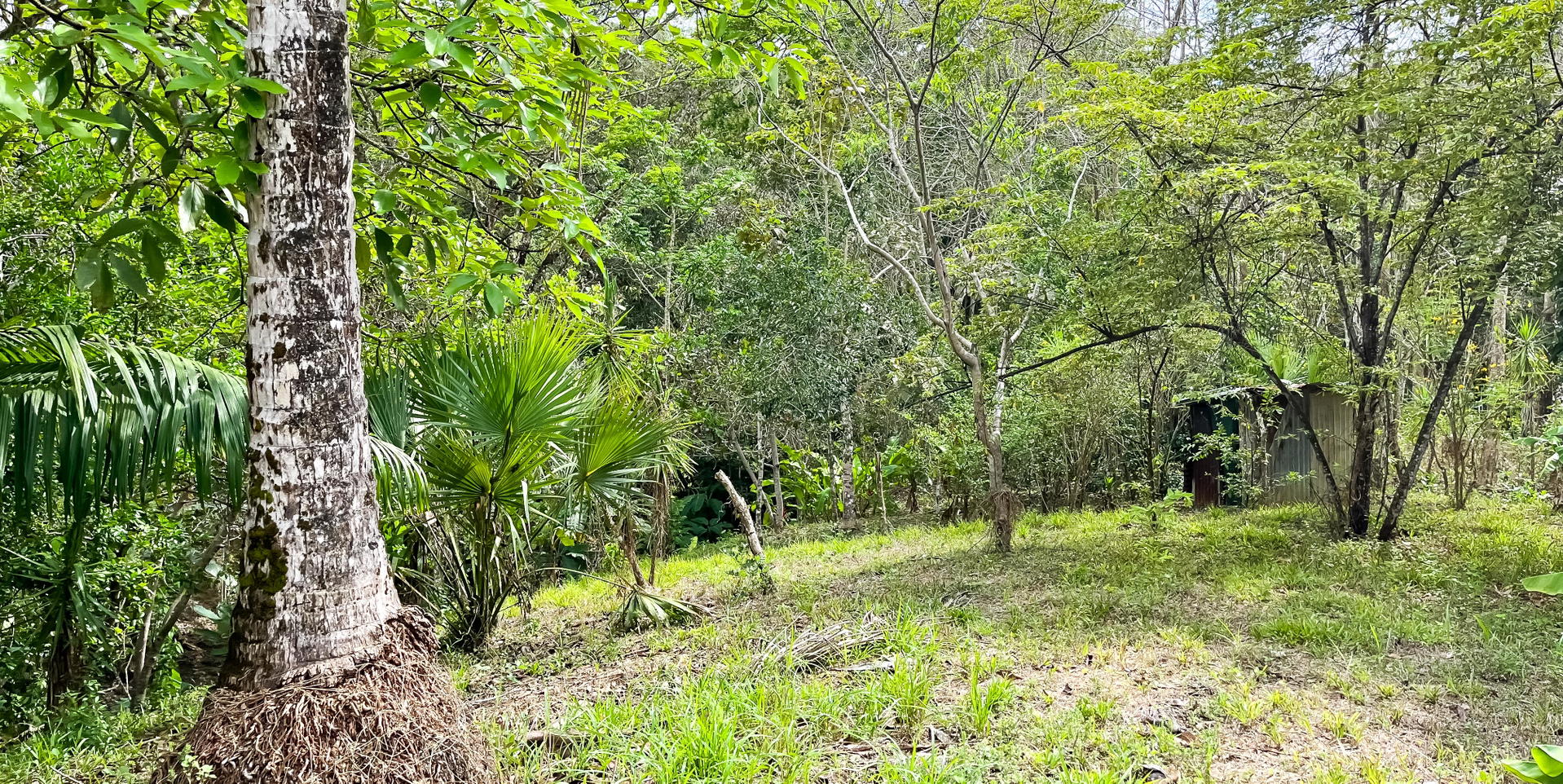 Property at Manzanillo