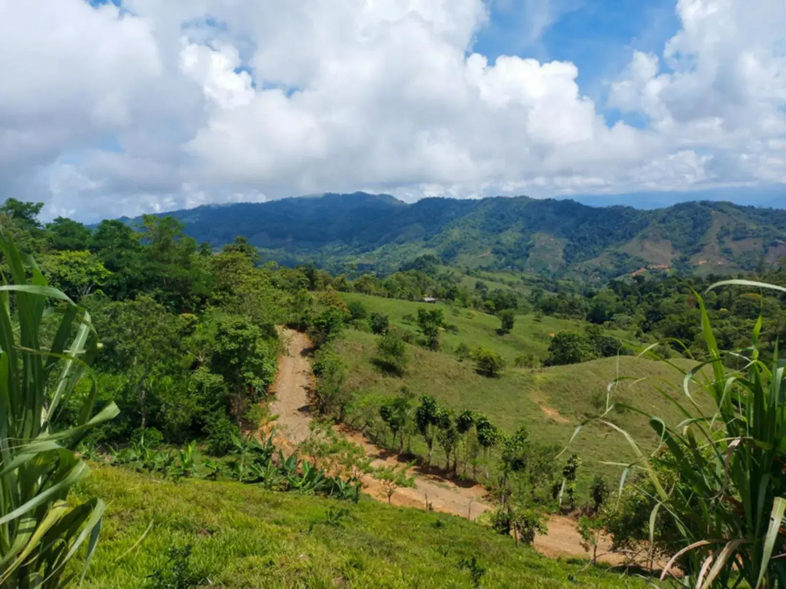 Terreno en Bahía Ballena