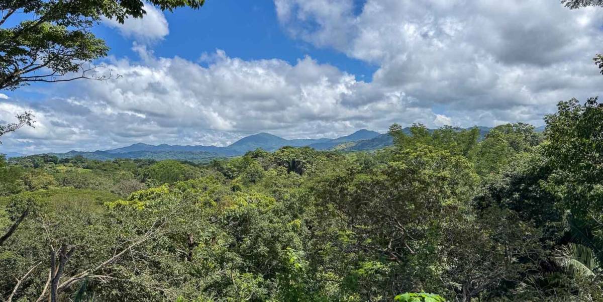 Property at Puntarenas
