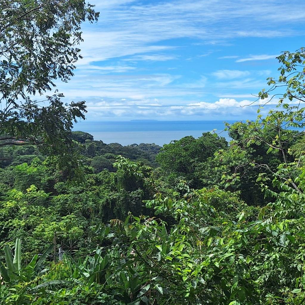 Finca en Piñuela