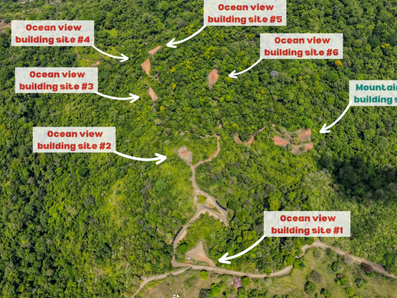 Land at Puerto Cortés