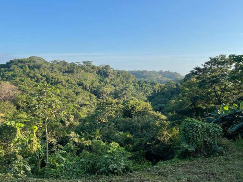 Terreno en Cóbano