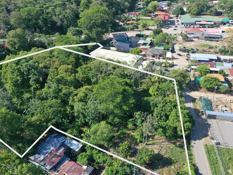 Land at Bahía Ballena