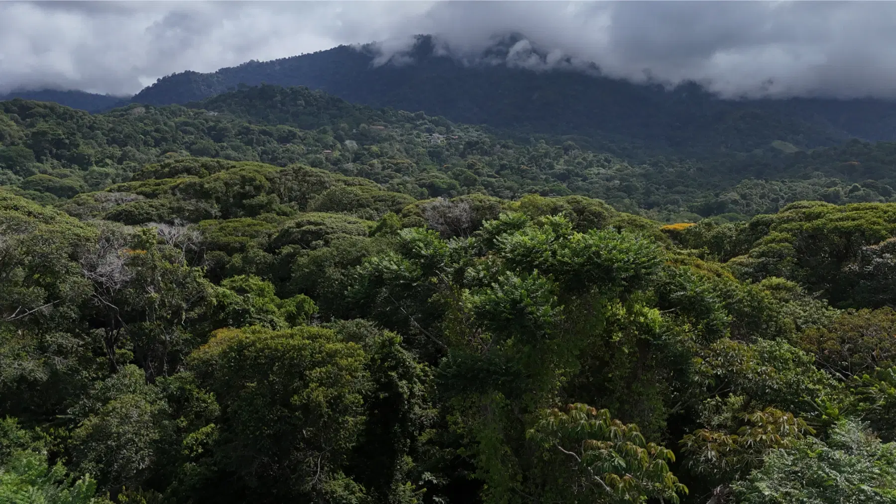 Terreno en Bahía Ballena